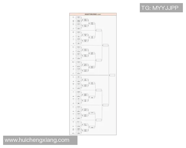 杭州乒乓球队近期状态分析与表现评估的全面数据解读